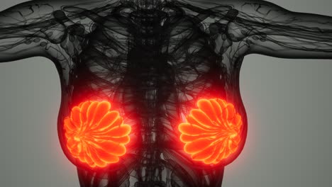 exploración médica del cáncer de mama de la mujer