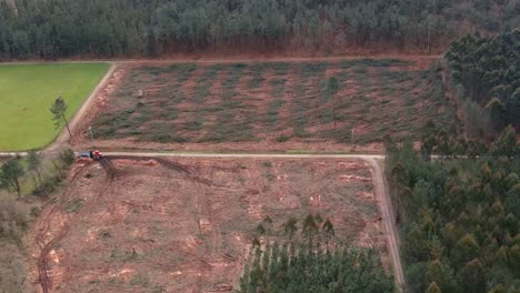 aerial over plot of land with felled pine trees in spain