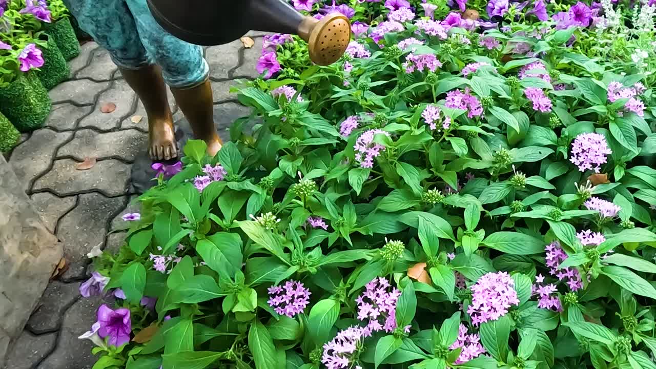 A statue of a gardener holding a watering can amidst vibrant purple flowers and lush greenery.