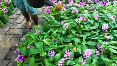 a statue of a gardener holding a watering can amidst vibrant purple flowers and lush greenery.