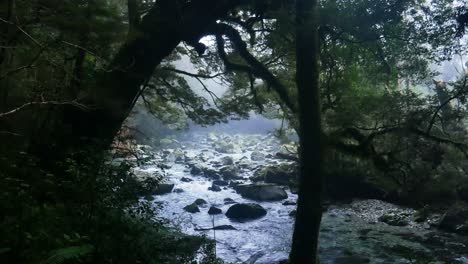mystical river flowing in dense rainforest during misty day,pan shot