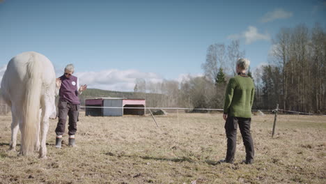 facilitator gives instructions and support to participant in horse therapy