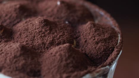 close-up of tiramisu