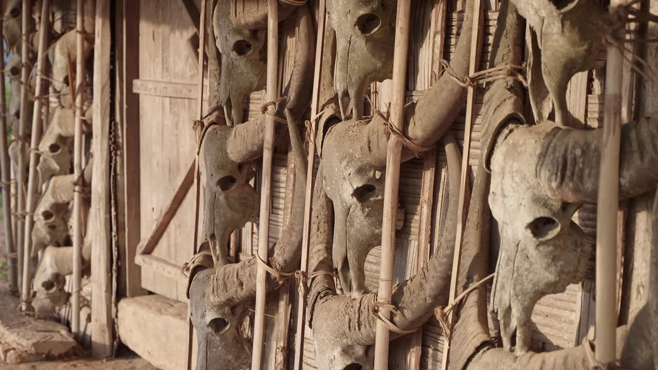 la tribu naga de nagaland, en la india, cuelga las cabezas de los animales cazados fuera de sus casas así.