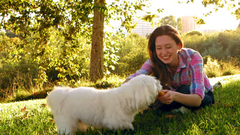 mujer llamando al perro en el parque con un juguete