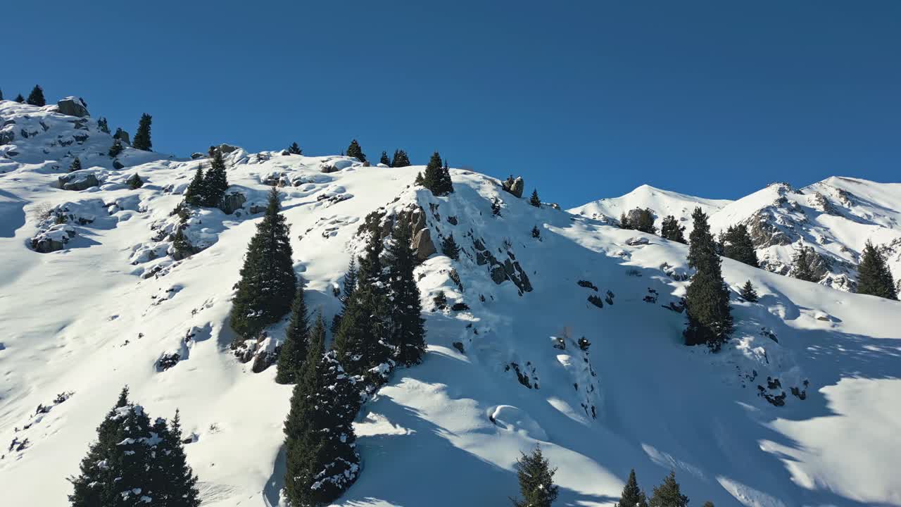 Tuyuk Su Glacier Landmark, frosty woodland, rugged arctic elevated terrain