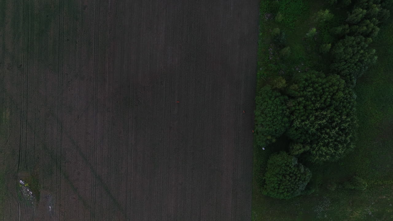 시골  에 있는 사 위 로 내려가는 공중 사진 - odocoileus virginianus