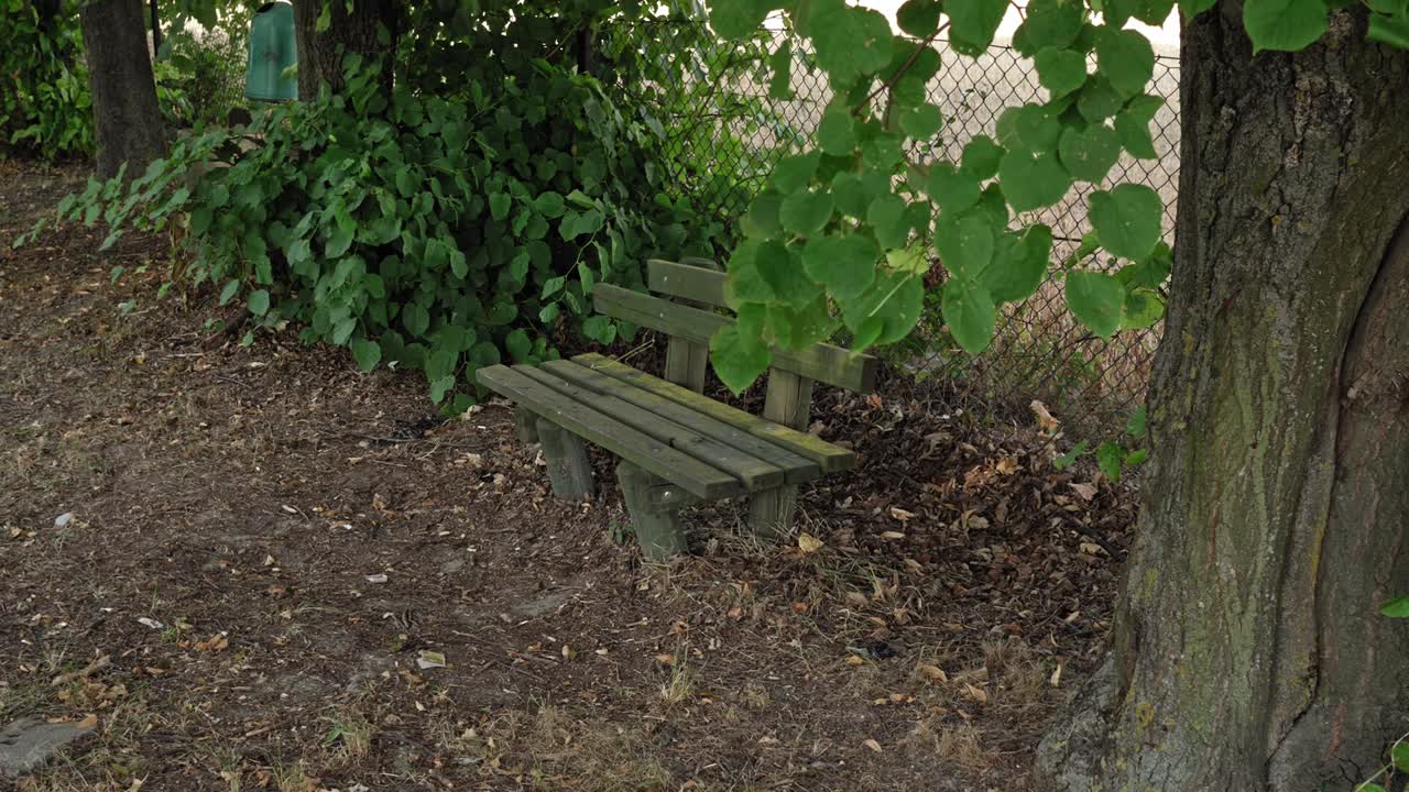 오래 된 파괴 나무 사이 버려진된 나무 벤치