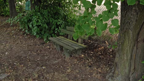 old destroyed abandoned wooden bench among the trees