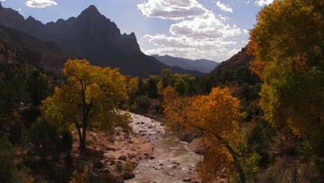 a river flows through a lovely fall forest 2