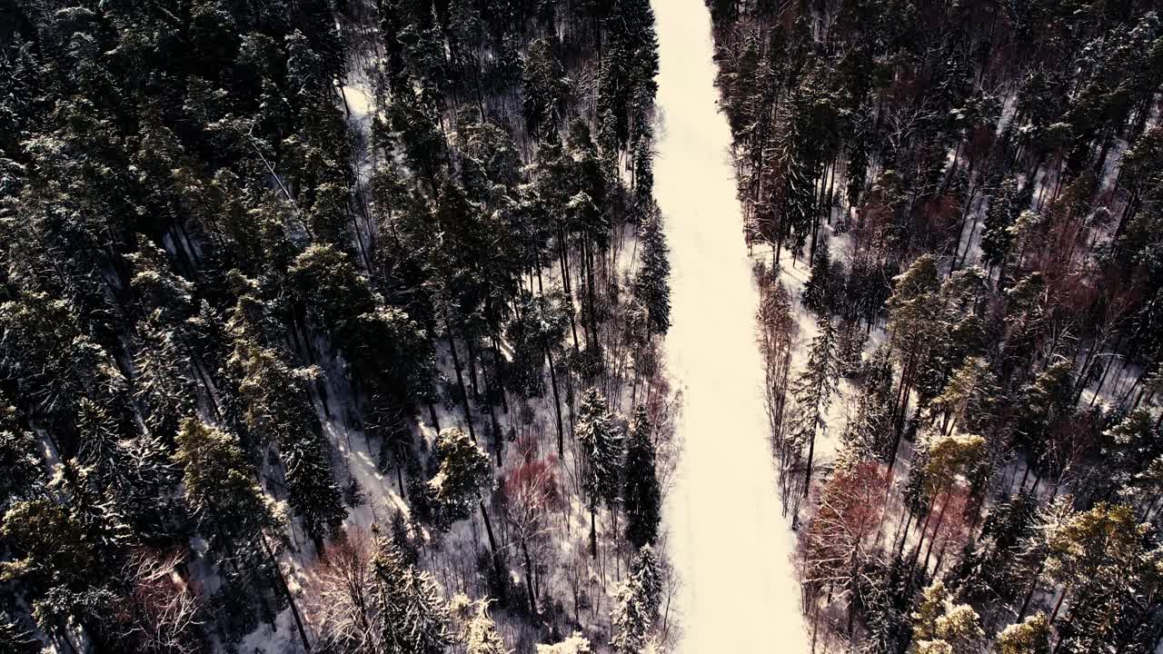 Aerial view of a drone flying over a forest road in winter