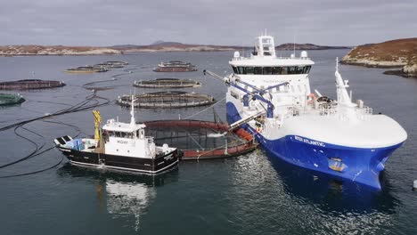 Circling-drone-shot-of-a-fishing-boat,-a-fish-cage-and-a-well-boat-on-Uist