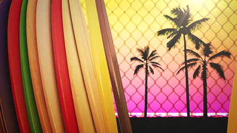 closeup surfing boards and tropical leaves with summer background 8