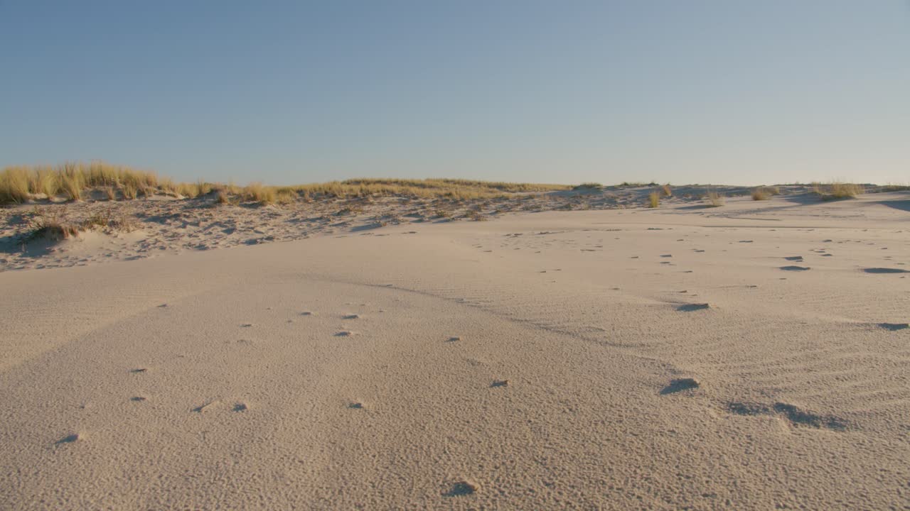 모래 언덕 풍경, 프랑스에 모래와 해변 잔디