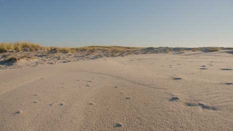 Arena-Y-Hierba-De-Playa-En-El-Paisaje-De-Dunas,-Francia