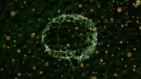 animation of human brain over scope scanning