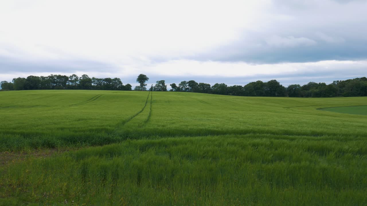 paisaje natural escénico de campo verde cerca de los setos oscuros en irlanda del norte - tiro panorámico