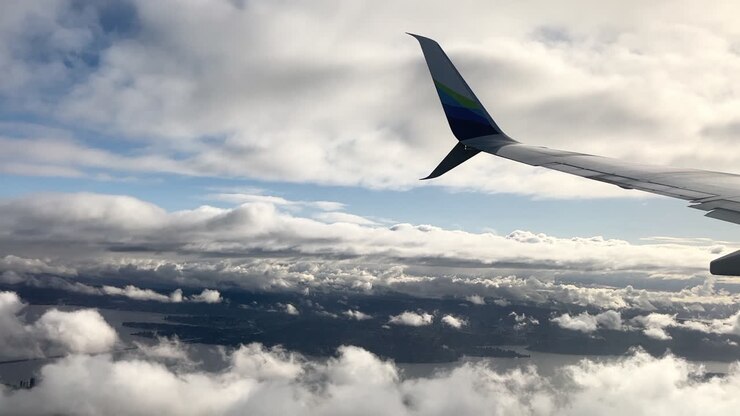 Flyvingespids, der drejer og daler over skyerne