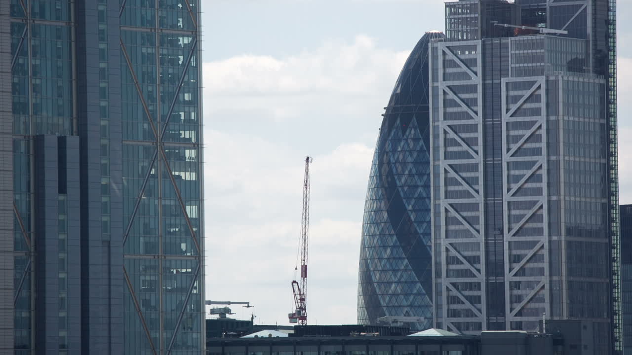 작은 오이 팬 00