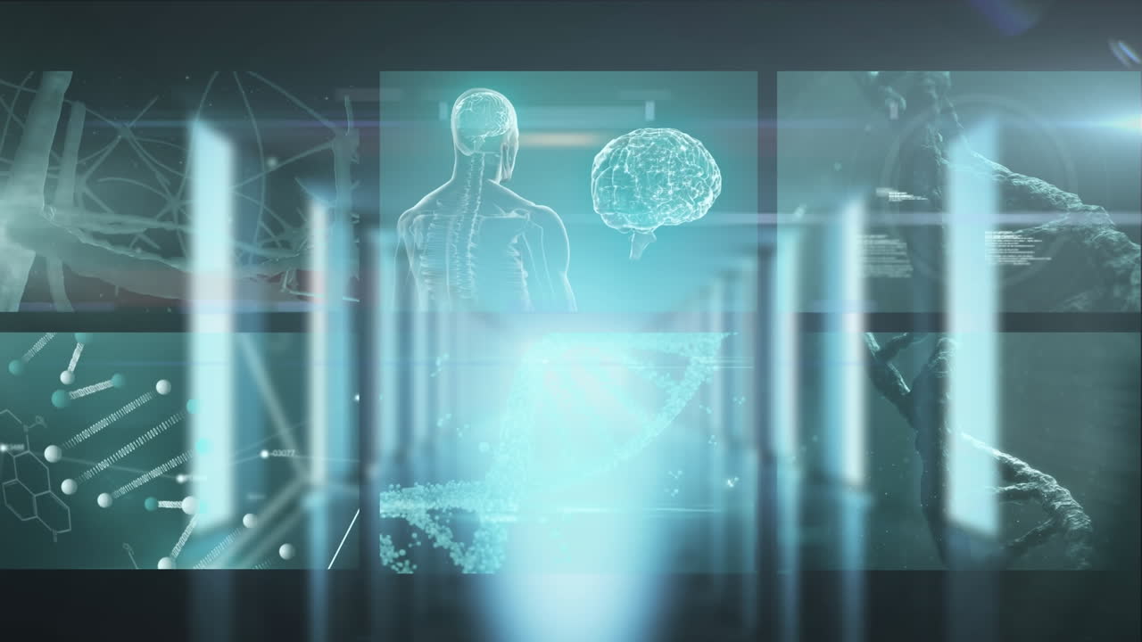 의료 데이터 처리와 함께 여러 화면의 애니메이션