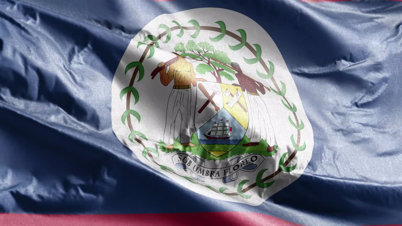 벨리즈의 섬유 발이 바람에 흔들리며, 벨리즈의 발은 바람에서 흔들리고, 직물 섬유 조직은 완전히 채우는 배경, 10 초 루프.