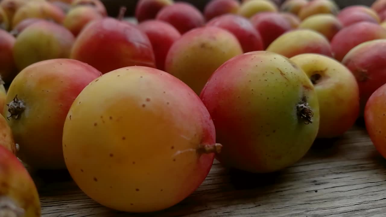 Close-up of a Pile of Ripe Crabapples