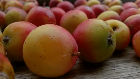 close-up of a pile of ripe crabapples
