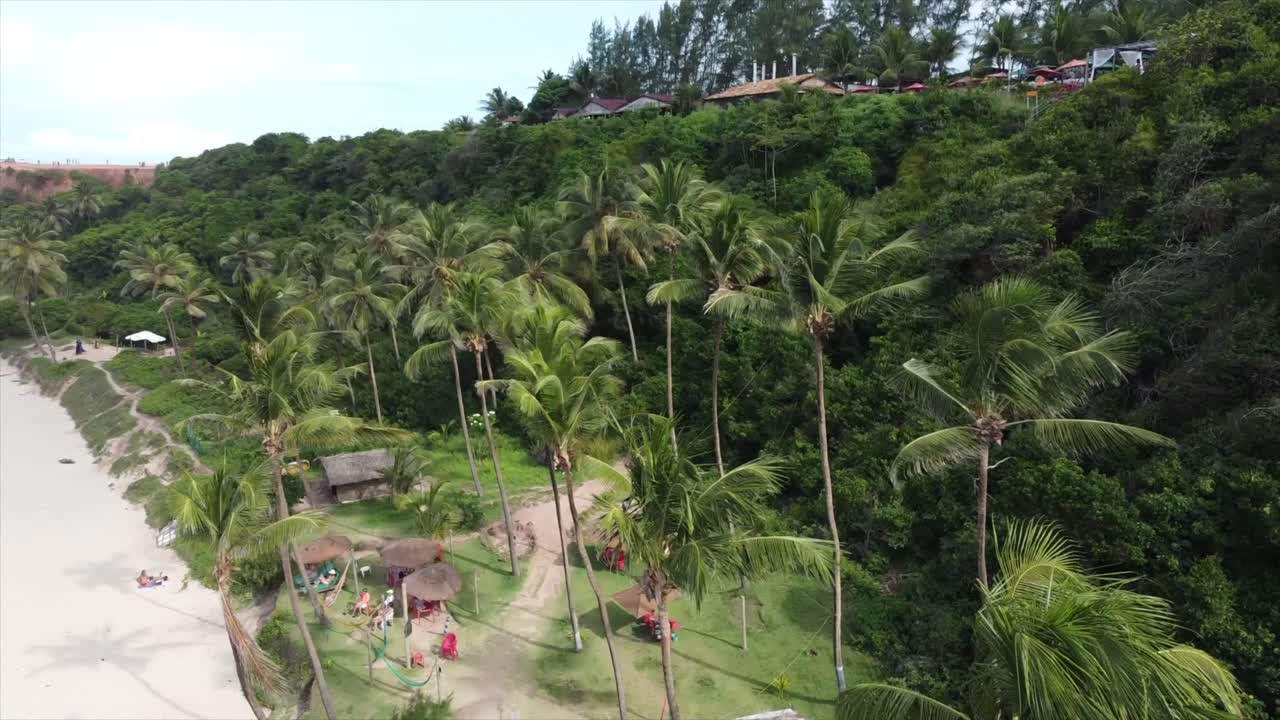 panorámica sobre la barra lateral de la playa brasileña hacia las palmeras tropicales que atraviesan