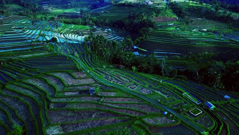 Each-tier-of-emerald-green-fields-cascades-gracefully,-mirroring-the-harmony-between-the-Balinese-people-and-their-land