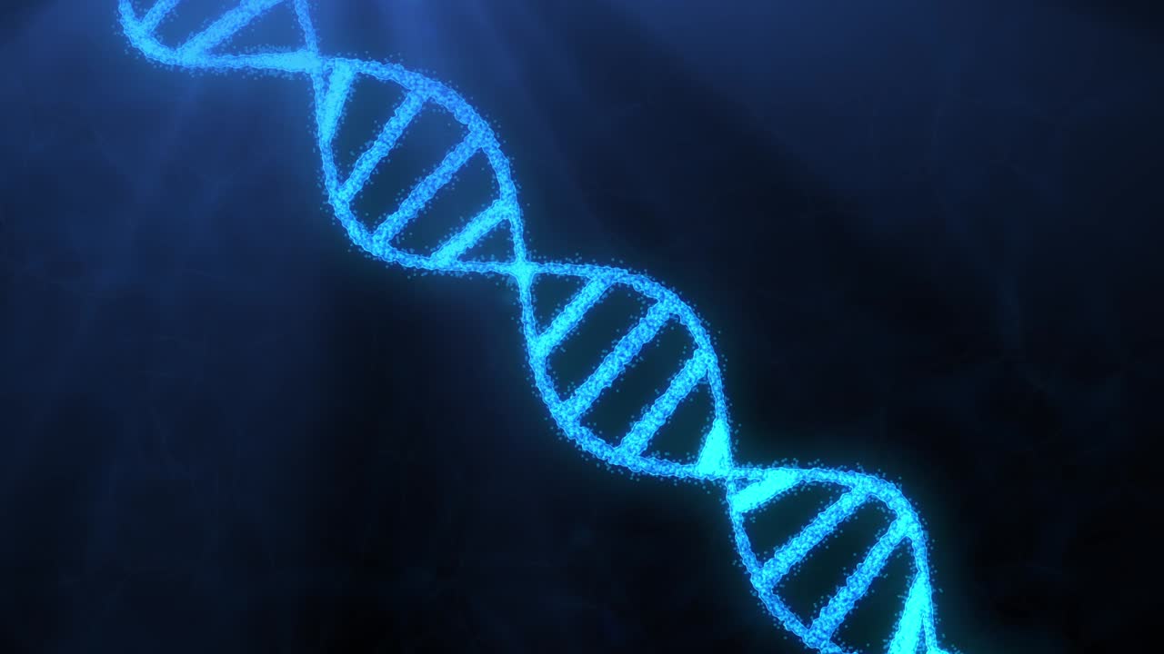 animación de la construcción del adn