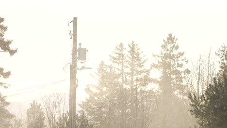 Nieve-Que-Pasa-Entre-árboles-Y-Un-Poste-De-Luz-En-Un-Frío-Día-De-Invierno