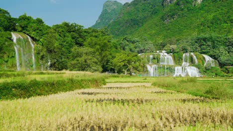 ban gioc waterfall or detian falls from the countryside in northern vietnam