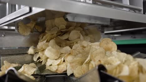 Chips-are-fried-falling-into-the-machine-and-going-to-the-packaging-line