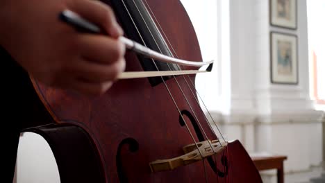 human hand plays on musical instrument, close-up of a contrabass with a bow