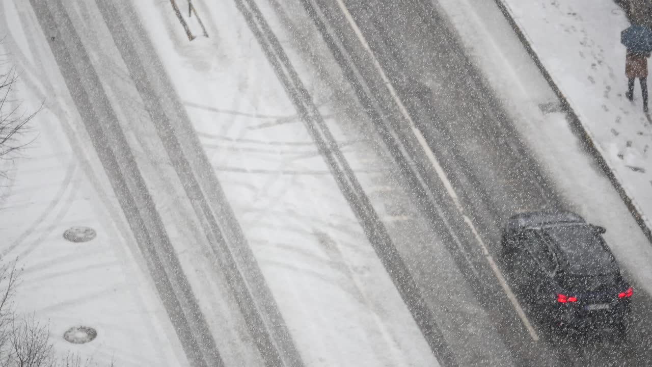 차 들 이 있는 눈 인 도시 거리