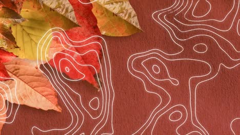 topografía contra múltiples hojas de arce de otoño y espacio de copia contra un fondo marrón