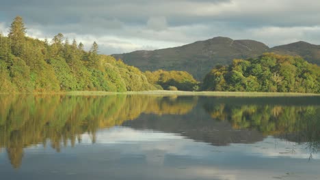 Vibrant-scenic-lake-forest-mountain-view-ripples-move-across-reflective-water