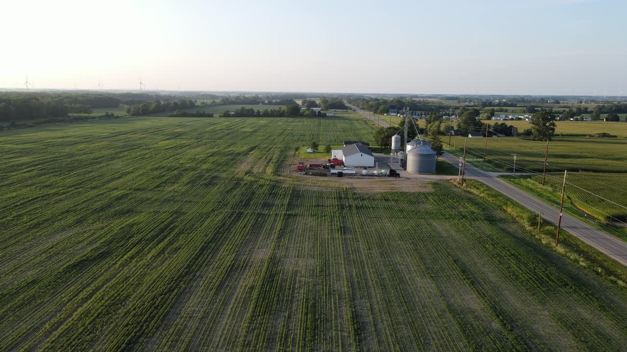 Farmstead with silos growing soybeans in massive green field, aerial view