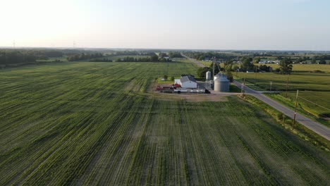 farmstead with silos growing soybeans in massive green field, aerial view