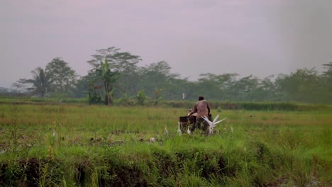 Indonesian-farmer-with-machinery-working-on-rice-field,-Farmer-with-field-plow-machine---Indonesian-farmer