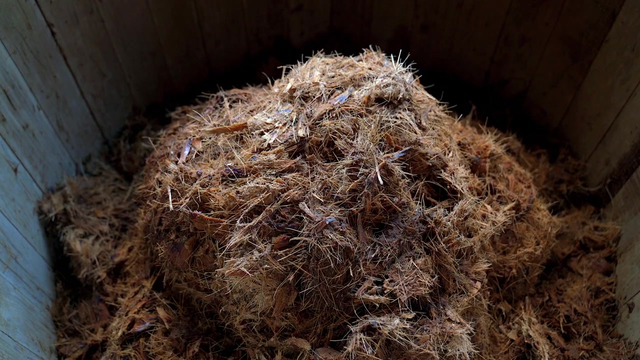 Ripresa ravvicinata con lento avvicinamento di fibre di agave cotte e tritate all'interno di una tradizionale vasca di fermentazione in legno presso una distilleria artigianale di mezcal in Messico.