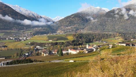 aerial drone over the vineyards in autumn in novacella, neustift south tyrol