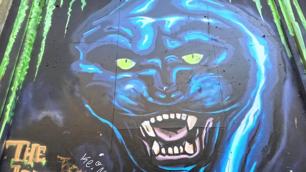 Camera pans across colorful graffiti mural featuring a blue panther and stylized portrait on a city wall in Berlin, under natural daylight