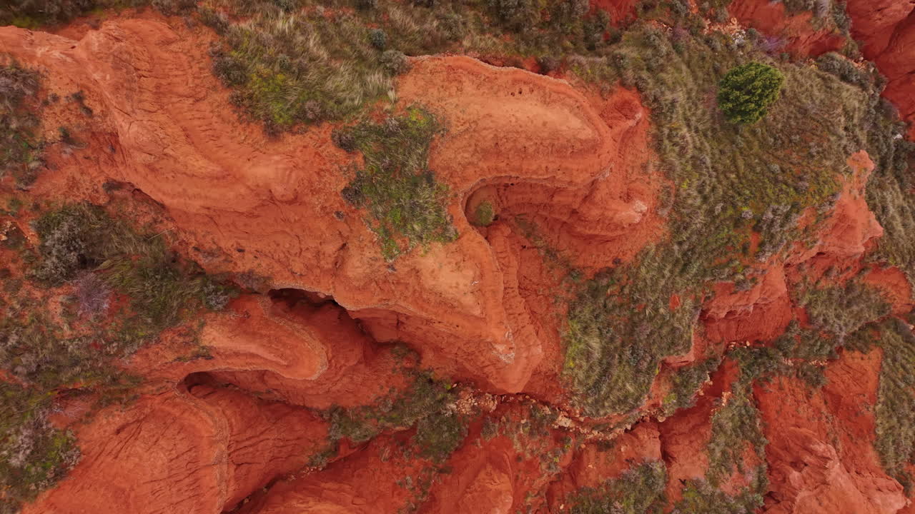 Veduta dall'alto di formazioni geologiche di canyon di arenaria rossa con strati di roccia erosi e arbusti verdi sparsi.