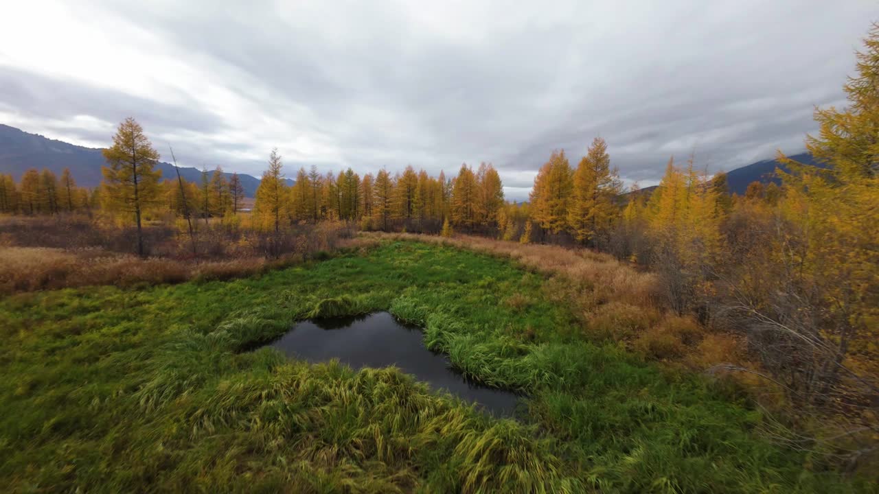 Witness the beauty of autumn as the landscape comes alive with golden foliage, winding water, and rolling hills. A tranquil experience blending natural wonders in a breathtaking outdoor setting.