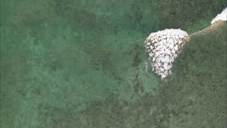 Einer-Welle-Neben-Seichtem-Meer-Mit-Blauem-Wasser-Folgen