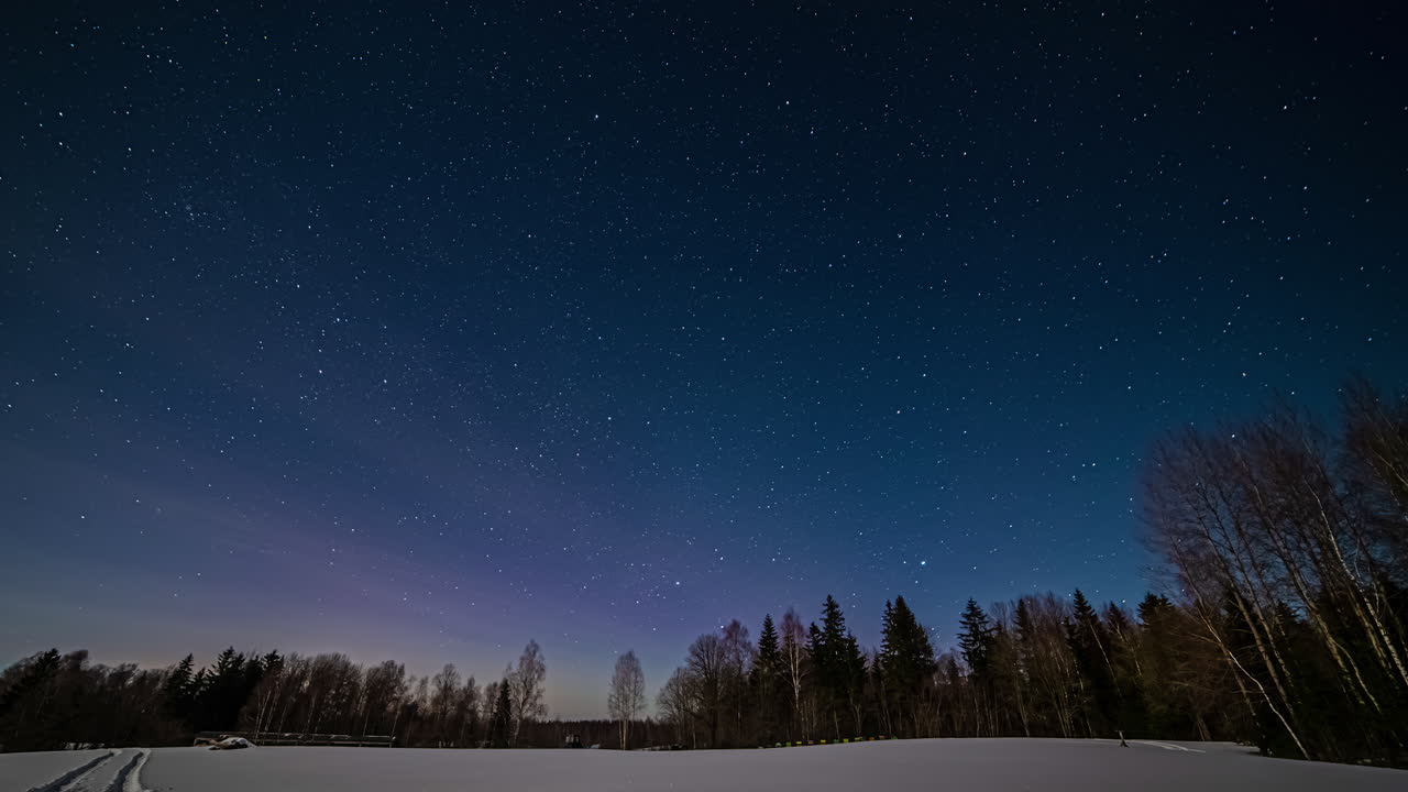 밤에 추운 겨울날 어두운 하늘에서 오로라 보레알리스의 저속 촬영 - 자연의 숲 나무의 실루엣