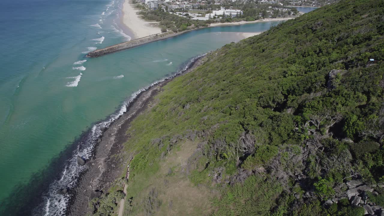 burleigh head national park의 울창한 나무들, burleigh heads, qld australia