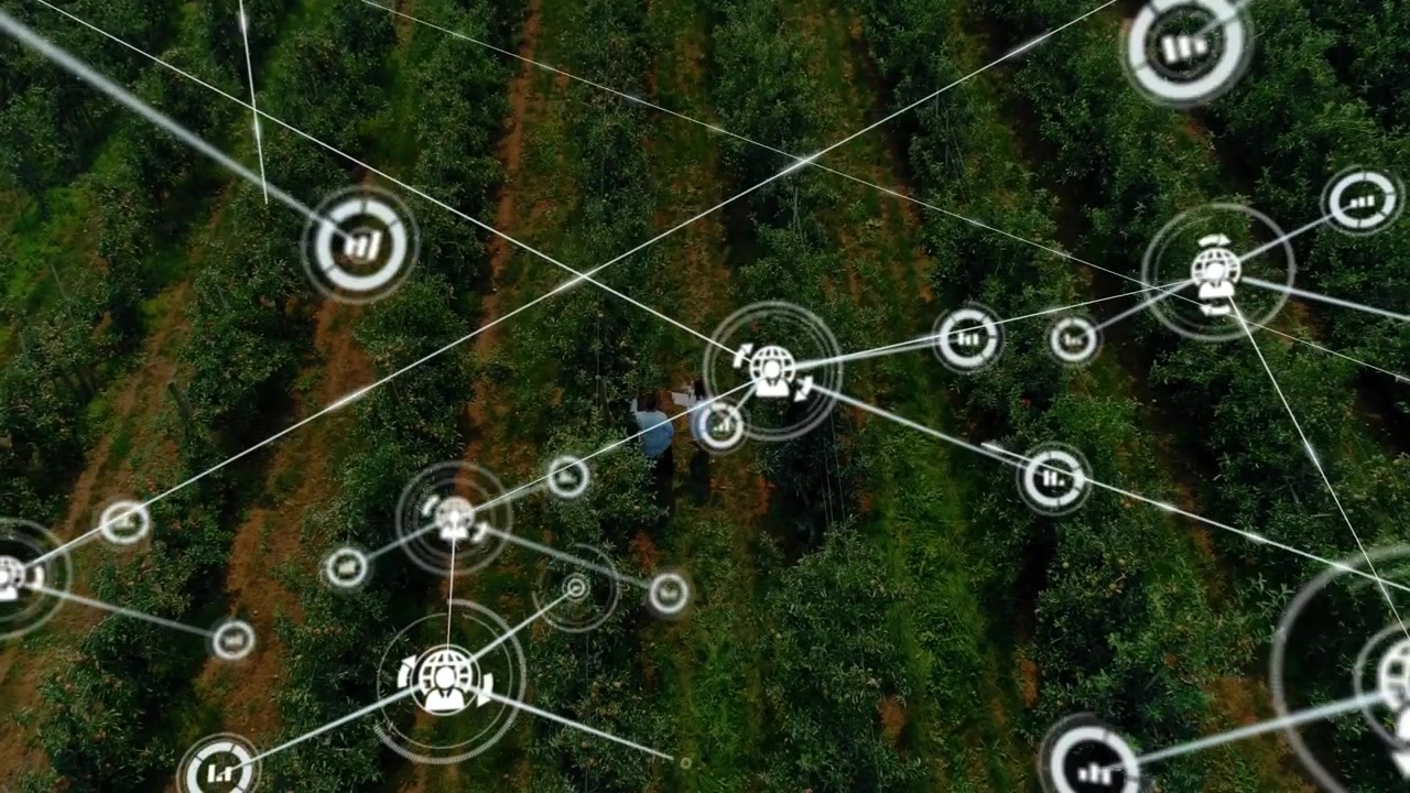 Farm managers walking orchard rows starting data node expanding mesh overlay monitoring crop health