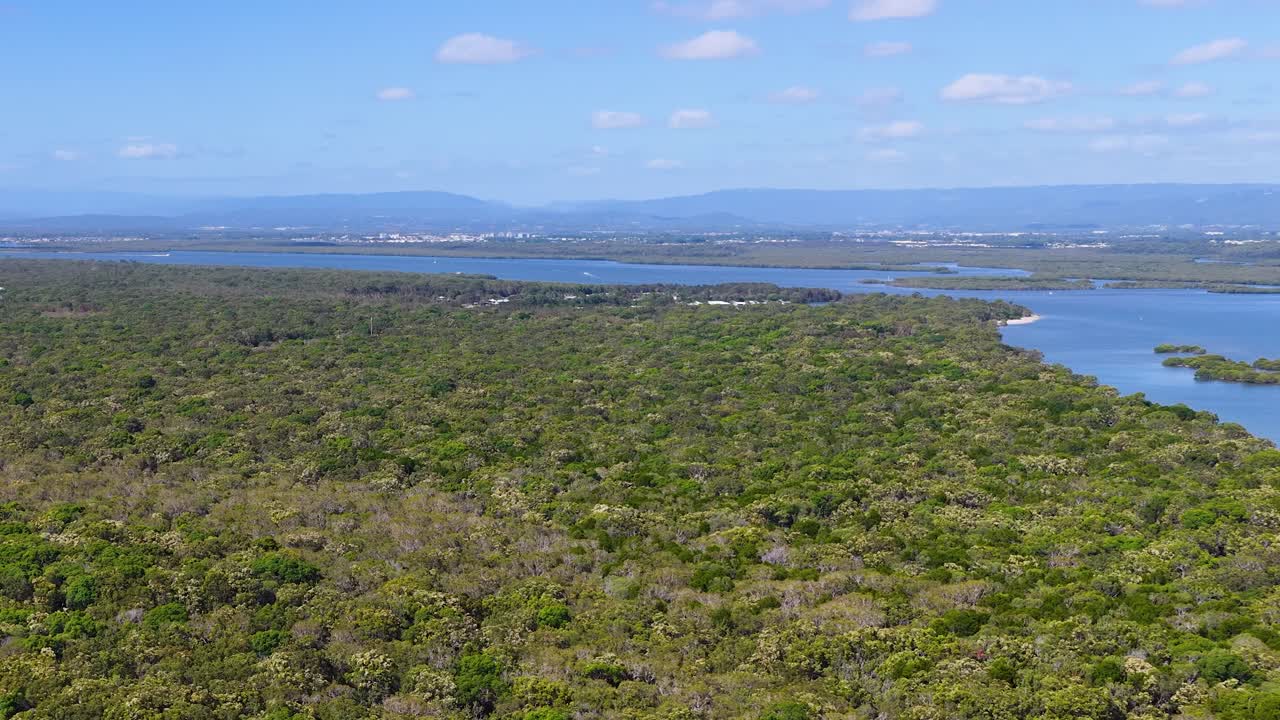 Una toma cenital con dron captura la exuberante vegetación que se encuentra con las aguas azules costeras bajo un cielo despejado